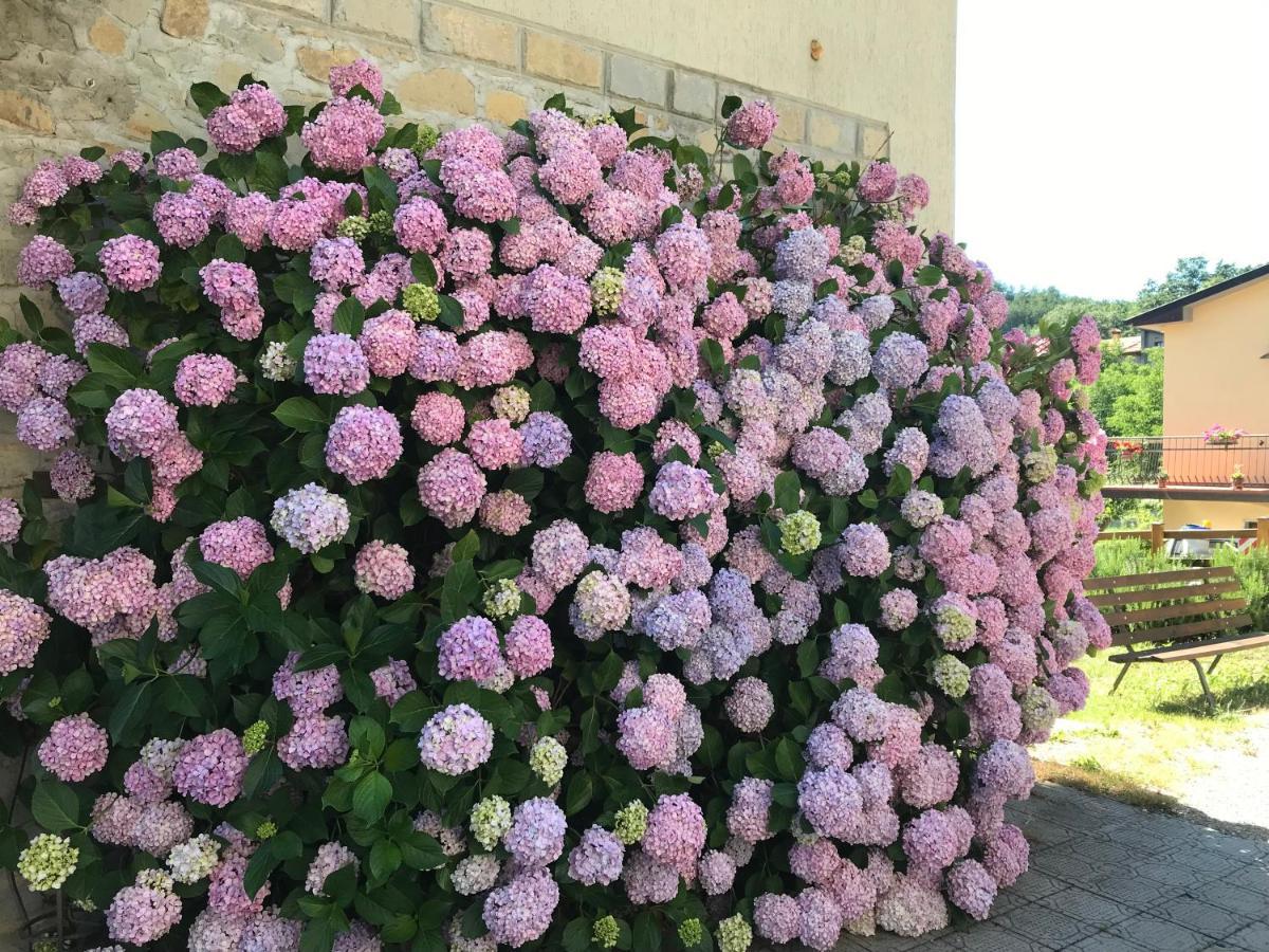 קיוזי דלה ורנה Casa Ortensia מראה חיצוני תמונה